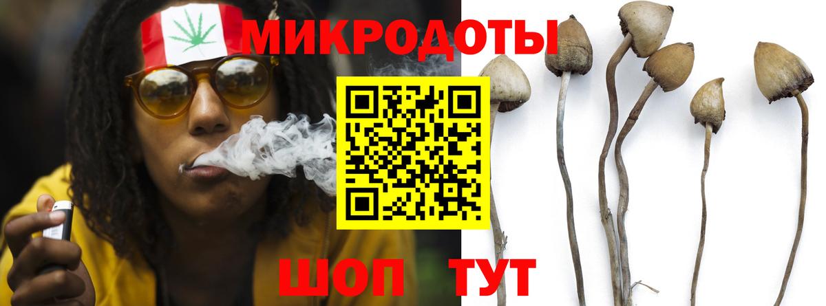 Псилоцибиновые грибы мицелий Татарск